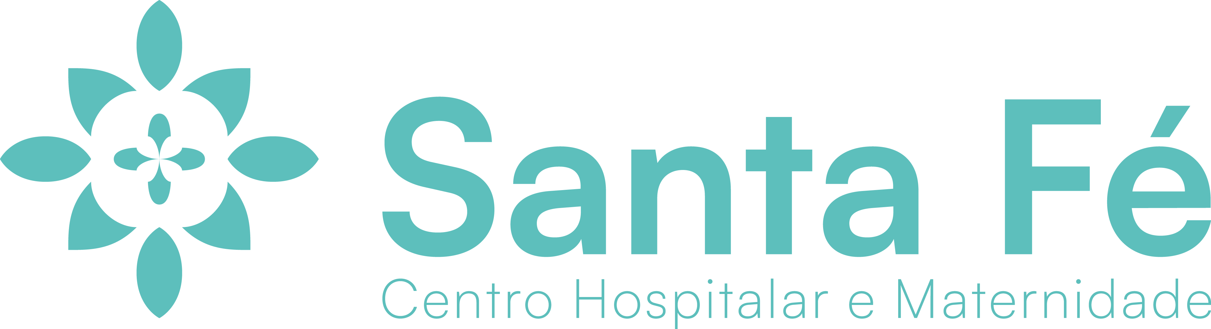 Centro Hospitalar e Maternidade Santa Fé